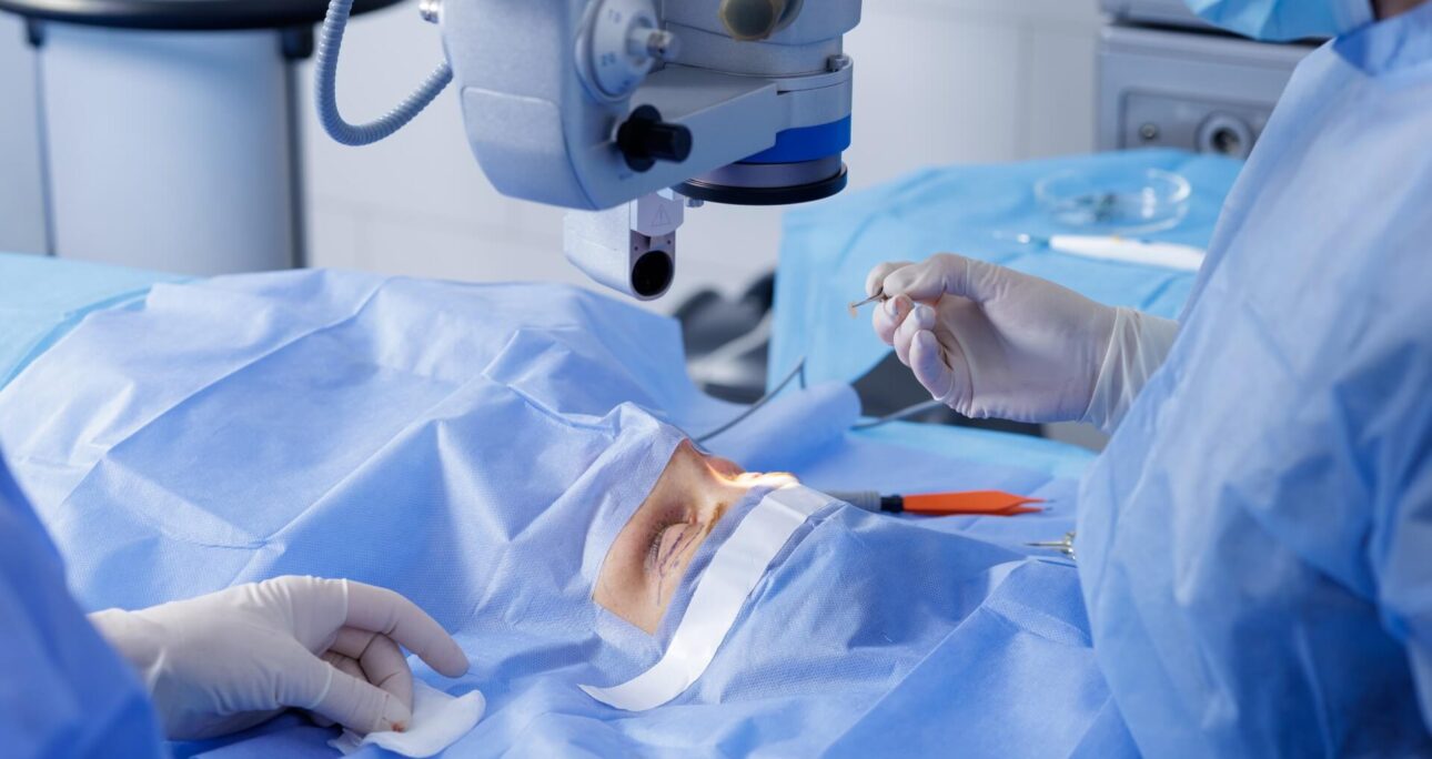 Fox Eye Surgery Recovery Day-by-Day